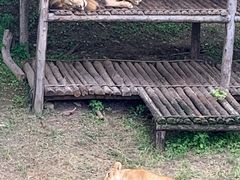 -石家庄市动物园