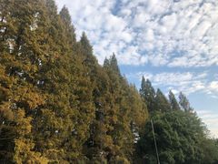 -杭州少年儿童公园