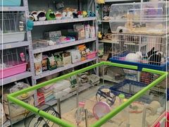 -钓仓鼠(洋桥北里小区店)