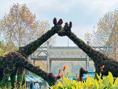 -鸡鸣汤包(红山动物园店)