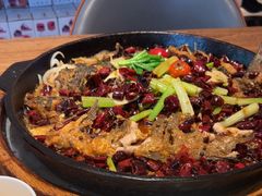 -老板恋上鱼(恒隆广场店)