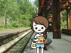 -合肥滨湖国家森林公园