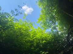 -院子餐厅·大锅菜·老杭帮(桥西直街店)