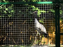 -青藏高原野生动物园