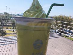 -雪绿茶博物馆
