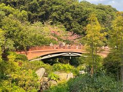 -云溪植物园