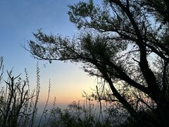 -紫金山山顶公园