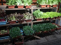 -和院老火锅铜锅烧烤海鲜(朱雀大街店)