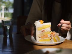 -猫里有甜