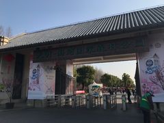 -上海海湾国家森林公园