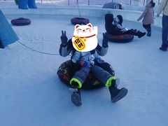 -沈阳奥体冰雪嘉年华