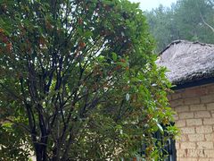 -韶山毛泽东同志故居