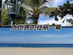 -三亚亚龙湾红树林度假酒店