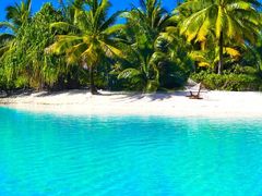 -Tiffany & Co.蒂芙尼
(南京德基广场店)