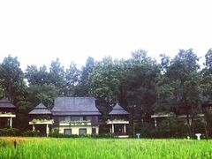 -四季酒店下午茶