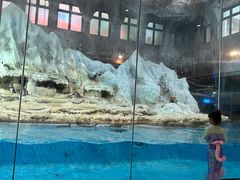 -帝企鹅自助餐厅•儿童岛•真企鹅(长隆企鹅酒店)