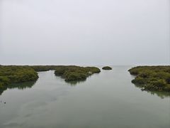 -北海金海湾红树林生态旅游区