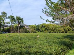 -虞山风景区