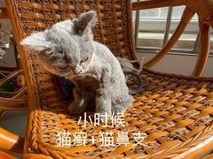 -佑安动物医院·全科·内窥镜中心(幸福巷店)