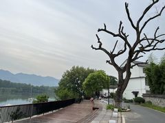 -东梓关景区村庄