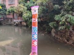 -小洲村