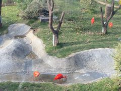 -武汉动物园