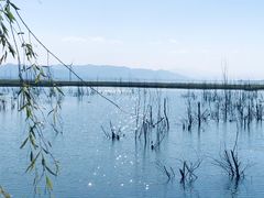 -野鸭湖国家湿地公园
