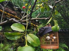 -青城甲(青城山店)