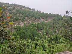 -府君山公园