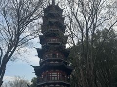 -上海佘山国家森林公园西佘山园