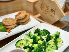 -枣子树·素食餐厅(普陀山店)