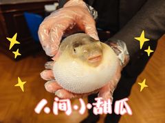 -肆月河豚·新淮扬(金融街店)