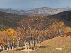 -克什克腾世界地质公园青山景区