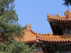 -历代帝王庙博物馆