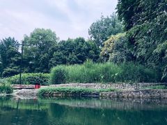 -成都市活水公园