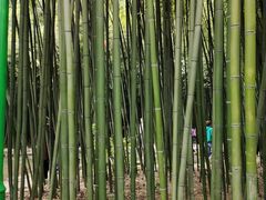 -竹泉村旅游度假区