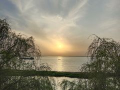 -湖南东洞庭湖国家级自然保护区