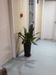 -安徽合肥韩美整形外科医院