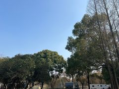 -上海影视乐园