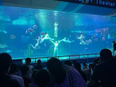 -泉城欧乐堡海洋极地世界