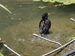 -苏州河梦清园环保主题公园