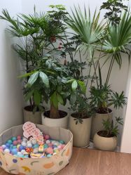 -妈妈时光机医疗产后修复(南山茂业百货店)