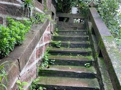 -桃源山庄·水蜜桃采摘·柴火鸡·烧烤团建(龙泉山店)