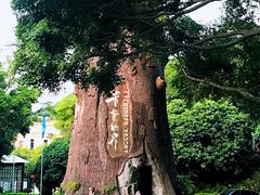 -青青世界