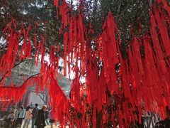 -西安青龙寺遗址景区