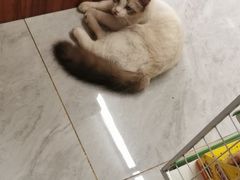 -邵汇大虾(泉园一路店)