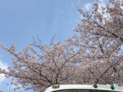 -上海南浦大桥长途旅游客运站