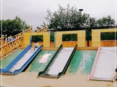 -大兴滨河森林公园