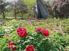 -北京奥林匹克公园