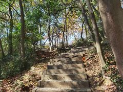 -上海佘山国家森林公园天马山园